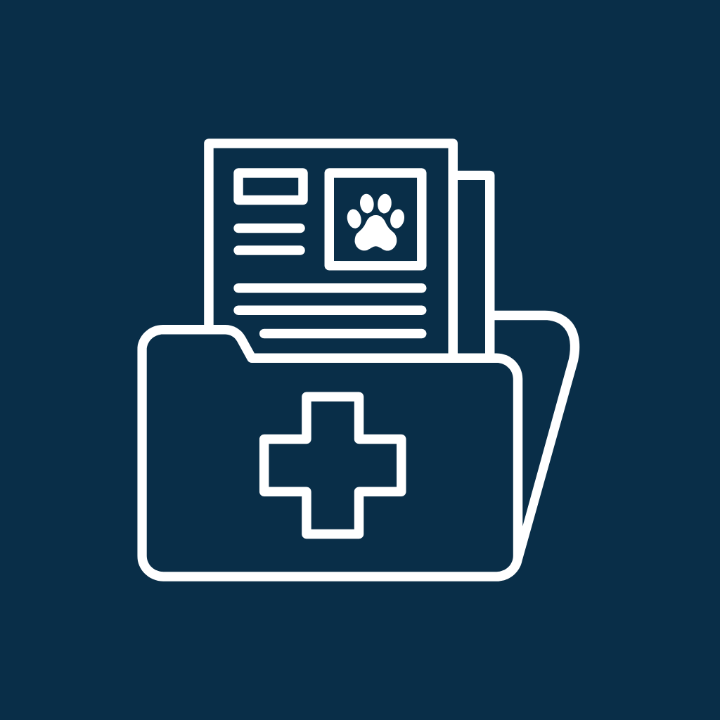 Medical Record Review